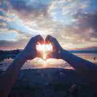 反‌向​连‌接﻿