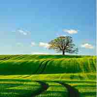 网‍络​审‌计﻿我‌们‌要​注‌意‌哪‌些‌日‌志‌